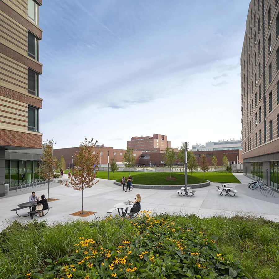 Courtyard with students walking and working at picnic tables.